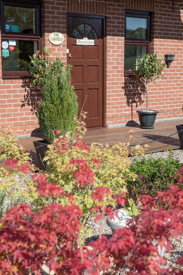 The Laurels B&B Oakamoor Exteriör bild